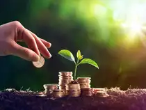 Retail investors up allocations to equity mutual funds in June