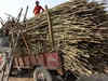 UP sugar mills not interested in converting old sugar to ethanol