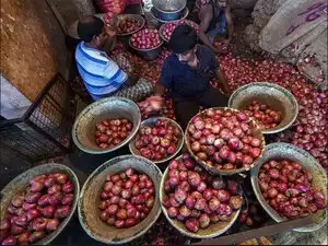 onion-BCCL