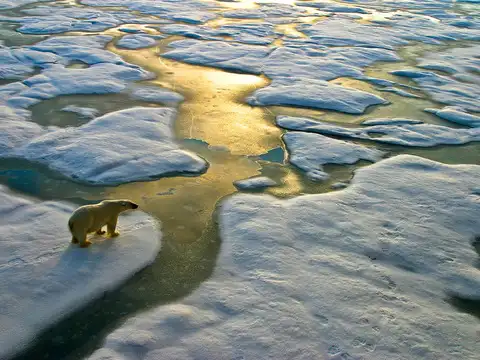Is the Paris Agreement working?