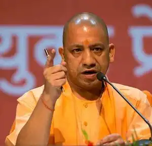 Yogi