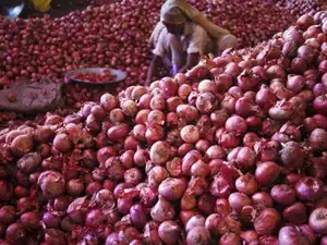 onion-indiatimes