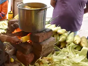 Sweet-Corn-bccl