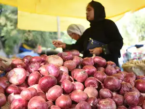 onion_bccl