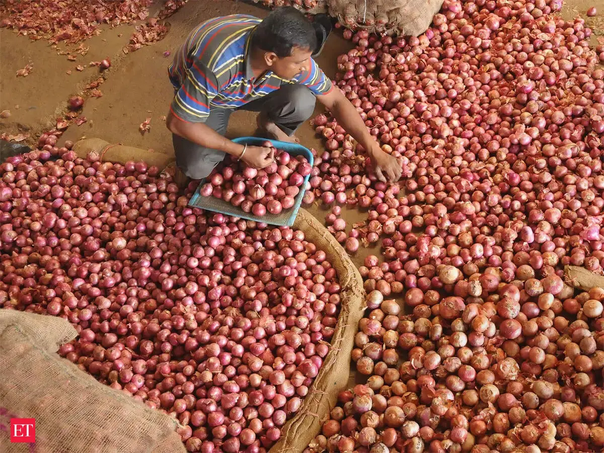 Onion Prices From Afghanistan Cools Down In India Onion Prices From Afghanistan