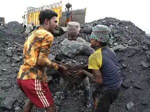 Coal---AP