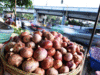Restaurants may hike prices if onion remains costlier: AHAR