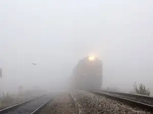 Fog-bccl