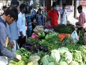 RETAIL VEGETABLE