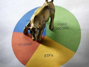 mutual fund bull