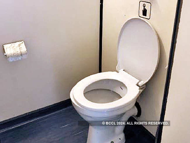 Each loo visit could then double up as healthy exercise rather than a sedentary sojourn.​