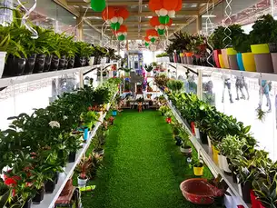 This railway station opens an 'oxygen parlour' to combat air pollution