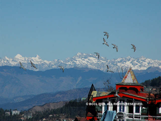 Shimla's snow in 17 years