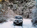 Snowfall in Darjeeling