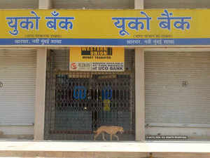 Uco-bank-agencies