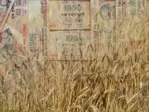 farm-loan