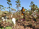 SIMA urges Union textile minister to intervene in cotton trading policies of CCI