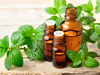 Mentha oil has stiff resistance at Rs 1,320 level