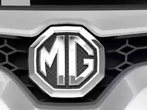 mg
