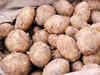 Potato wholesale prices firm up due to heavy rains