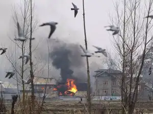 Petrol-Bomb---Agencies