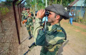 bsf