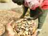 Cocoa nears 30-year high on Ivory Coast export turmoil
