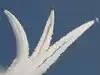 Trishul formation