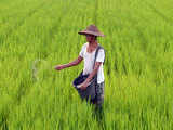 Govt may cut import duty on raw material for fertiliser industry 1 80:Image