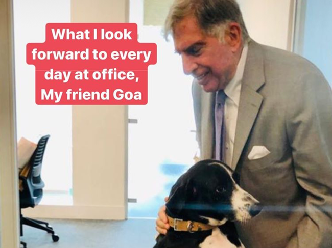 Recently, Tata shared a picture of him with his friend 'Goa' at work.