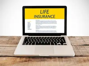 life 11