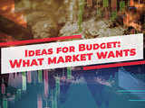 Ideas for Budget: What market wants?