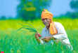 Budget: PM-KISAN fund allocation may be trimmed by 20%