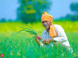 A trimmed Budget cheque for India's farmer 1 80:Image