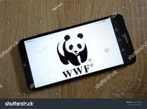 stock-photo-konskie-poland-january-world-wide-fund-for-nature-wwf-logo-displayed-on-smartphone-1282748956