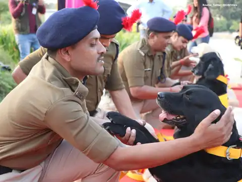 Saluting the four-legged heroes