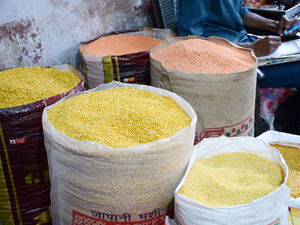 pulses-BCCL