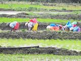 Farm markets need to be liberalised: FM Nirmala Sitharaman 1 80:Image