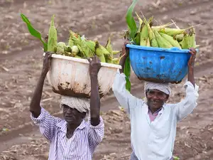 New_Agriculture_4_BCCL