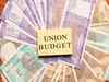 12 equity mutual fund managers on Budget 2020