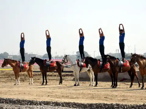 The daredevil performance