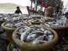 Centre to strive for making India top producer of seafood