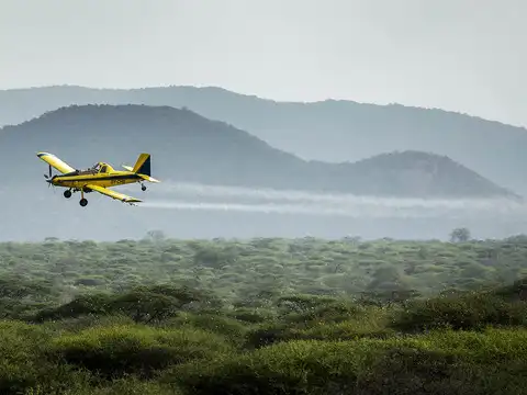 ​Aerial sprays and other measures