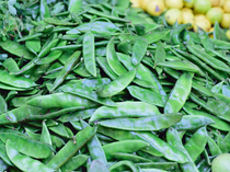 Agri Commodities: Guar seed, mustard seed, guar gum futures decline on muted demand