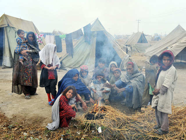 Budding shelter for refugee