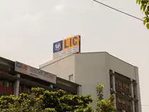 LIC-1---Shutter