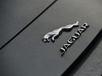 Jaguar-1---AFP