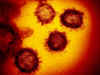 China's coronavirus death toll crosses 2,300, WHO team to visit Wuhan