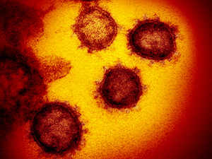 coronavirus