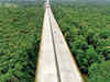 How an elevated stretch of NH 44 through Pench Tiger Reserve earned a distinction